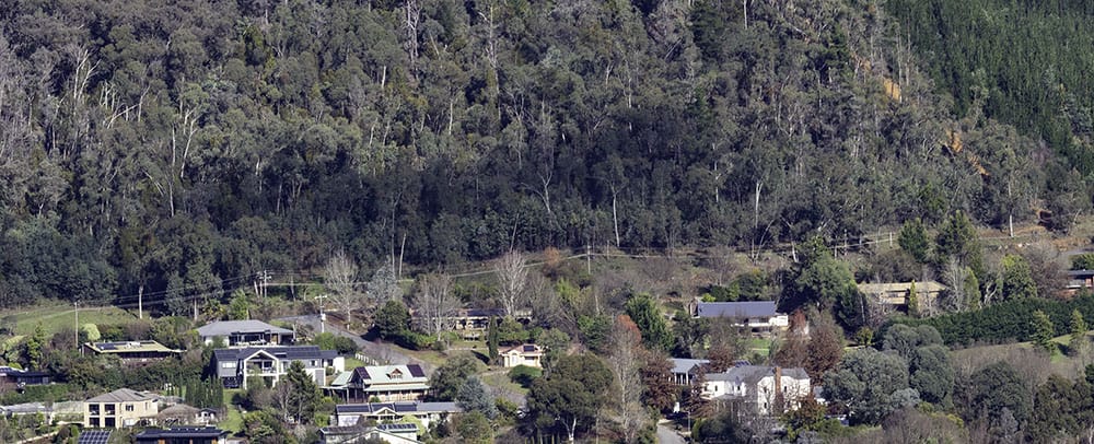 Houses nestled on the lower slope of a forested hillside on the edge of a rural town or suburb.
