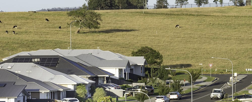 Looking over the roofs of houses in a suburban street onto a grassy hill with cows grazing.
