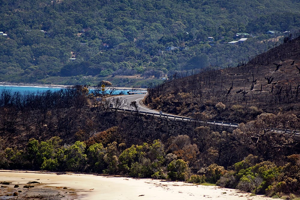 A road runs along a hilly coastline. Vegetation is burnt on both sides of the road, right down to the sand.