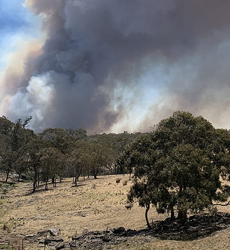 Smoke plume behind treeline and paddocks 460
