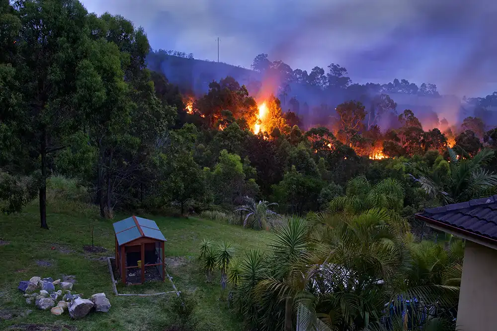The corner of a house with it's backyard and bush not far away. A bushfire is coming up the hill. It's dark and the fire is glowing not far away.
