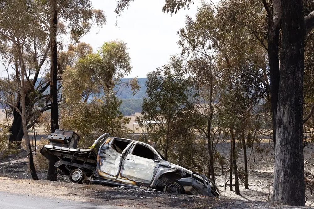 The burnt out wreckage of a car which has driven off the side of the road during a bushfire. The trees and grass all around are burnt.