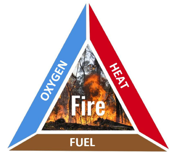 A triangle with a word on each length - fuel, heat and oxygen. An image of a fire is in the inside.