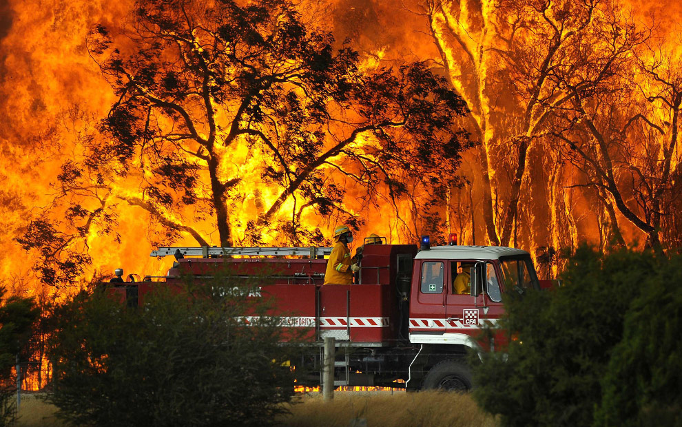 2009-black-saturday-firefighter-standing-on-truck-forest-burning