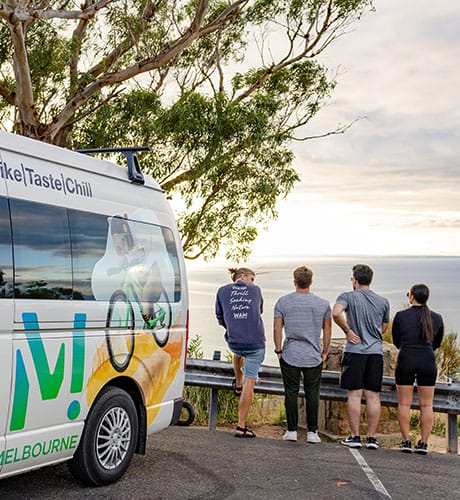 Wild adventures van coastal 460