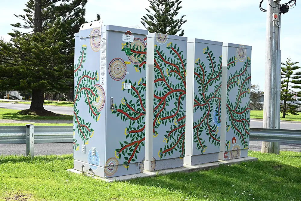 This community battery consists of  four tall cabinets standing next to each other. These ones are painted with an attractive wattle image and stand on a street corner protected by a barrier.
