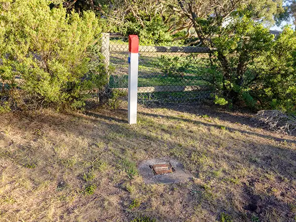 A white post with a red top standing in short grass next to a fence and some bushes.