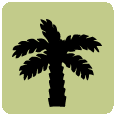 palm plant