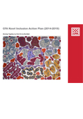 cover of the Koori Inclusion plan