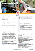 cover of pets and bushfire factsheet