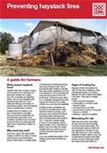 copy of presenting haystack fires brochure